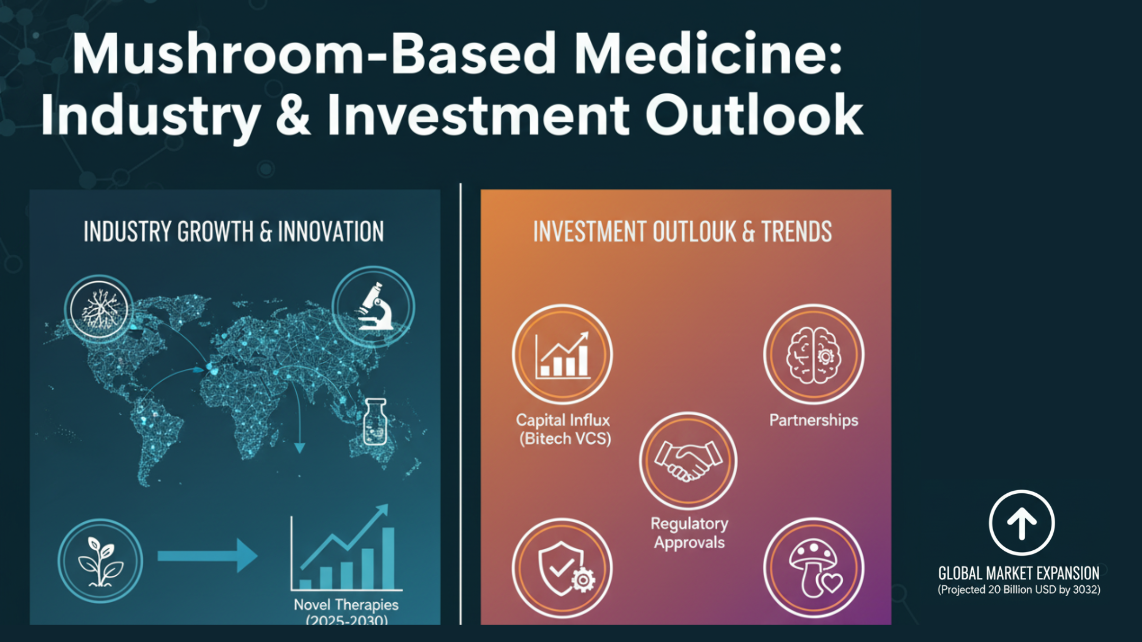 industry and investment outlook for mushroom-based medicine (mycomedicine)