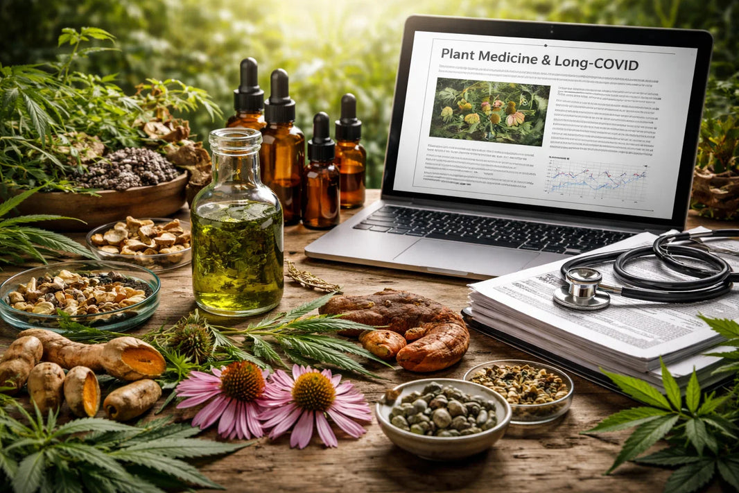 Long-COVID plant medicine research 2026
